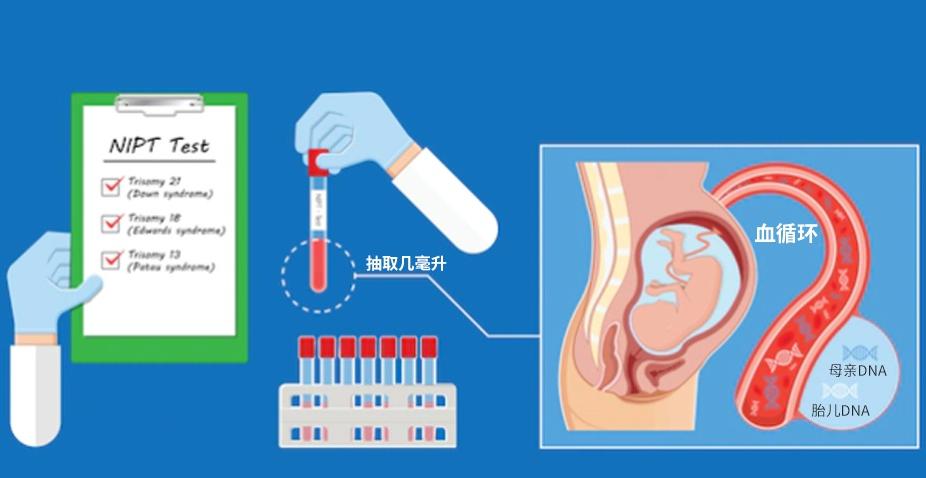 怎么样检测胎儿dna，胎儿dna亲子鉴定什么时候可以做呢？ 